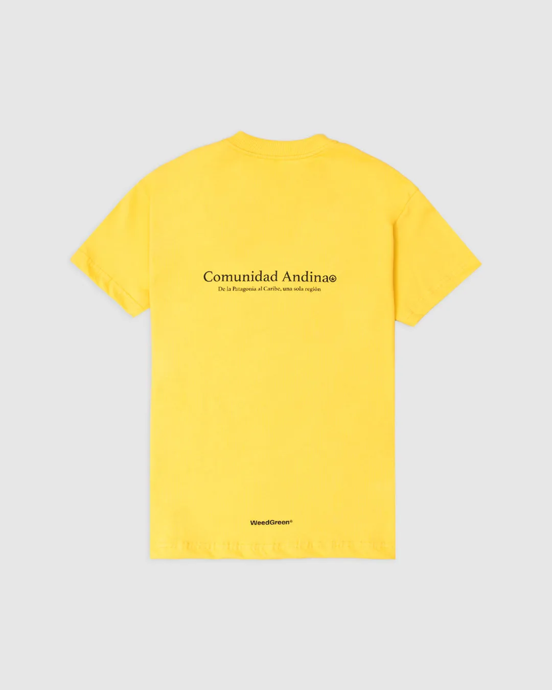 Camiseta andes amarillo