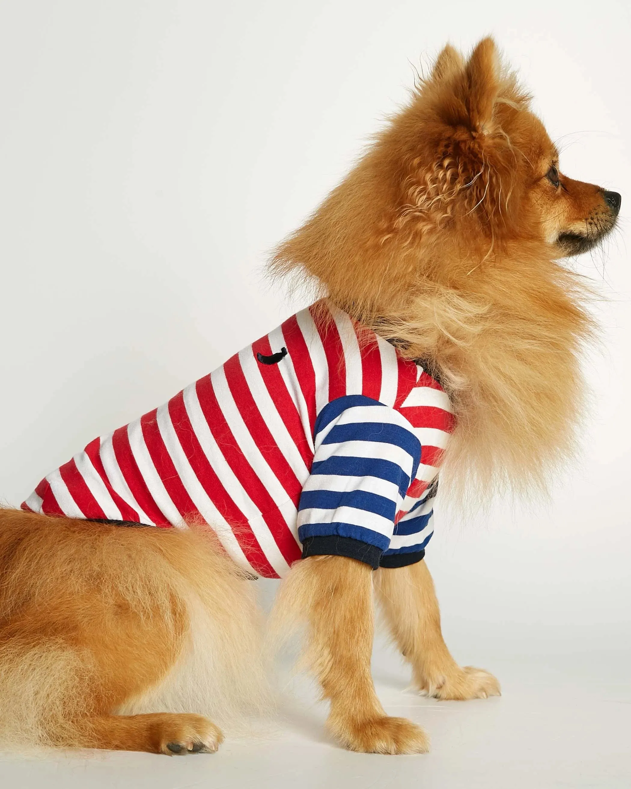 DAVID RED AND DEEP BLUE ORGANIC COTTON DOG TSHIRT