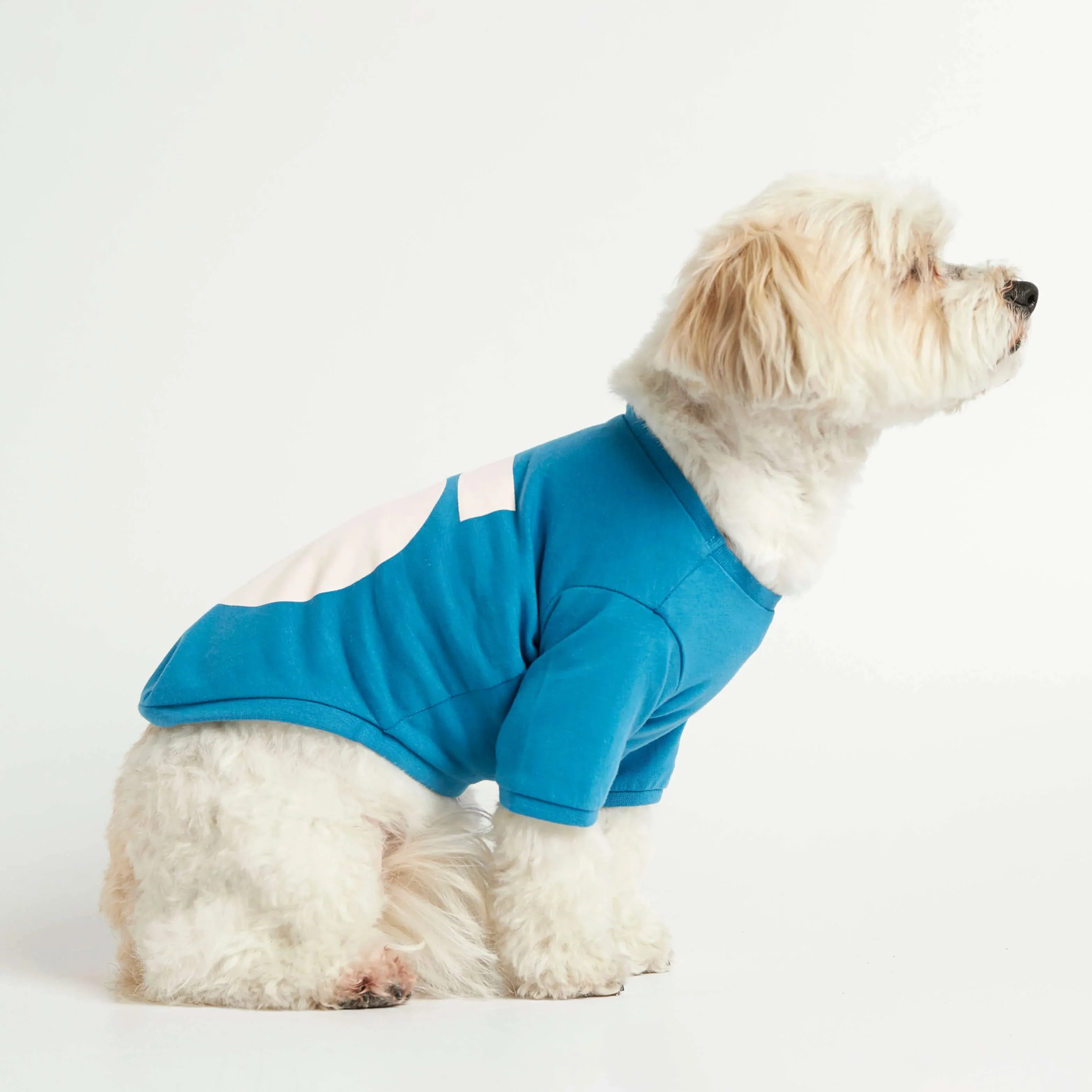 IMI BLUE ORGANIC COTTON DOG TSHIRT