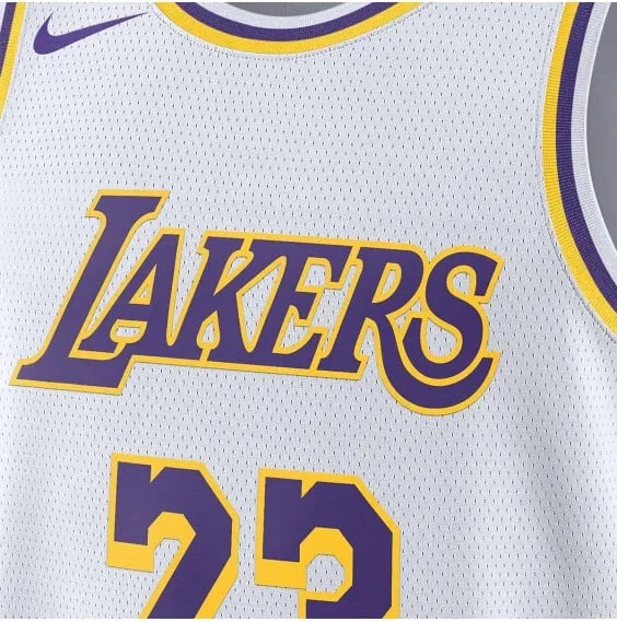 LEBRON JAMES LOS ANGELES LAKERS 2324 ASSOCIATION EDITION SWINGMAN