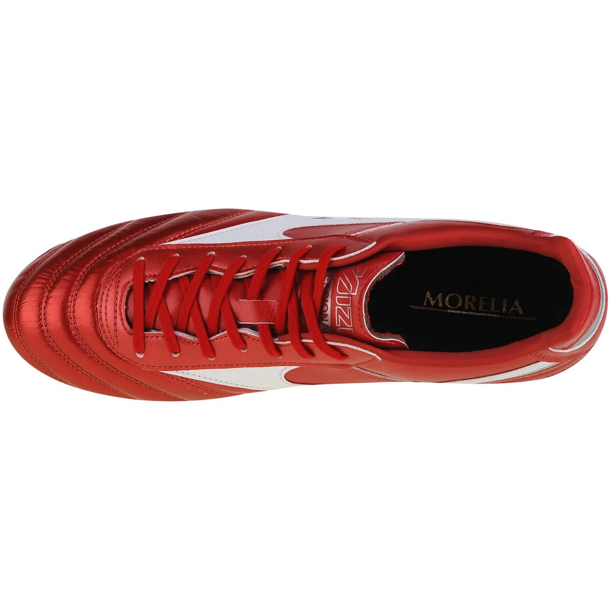 Morelia II Pro MD