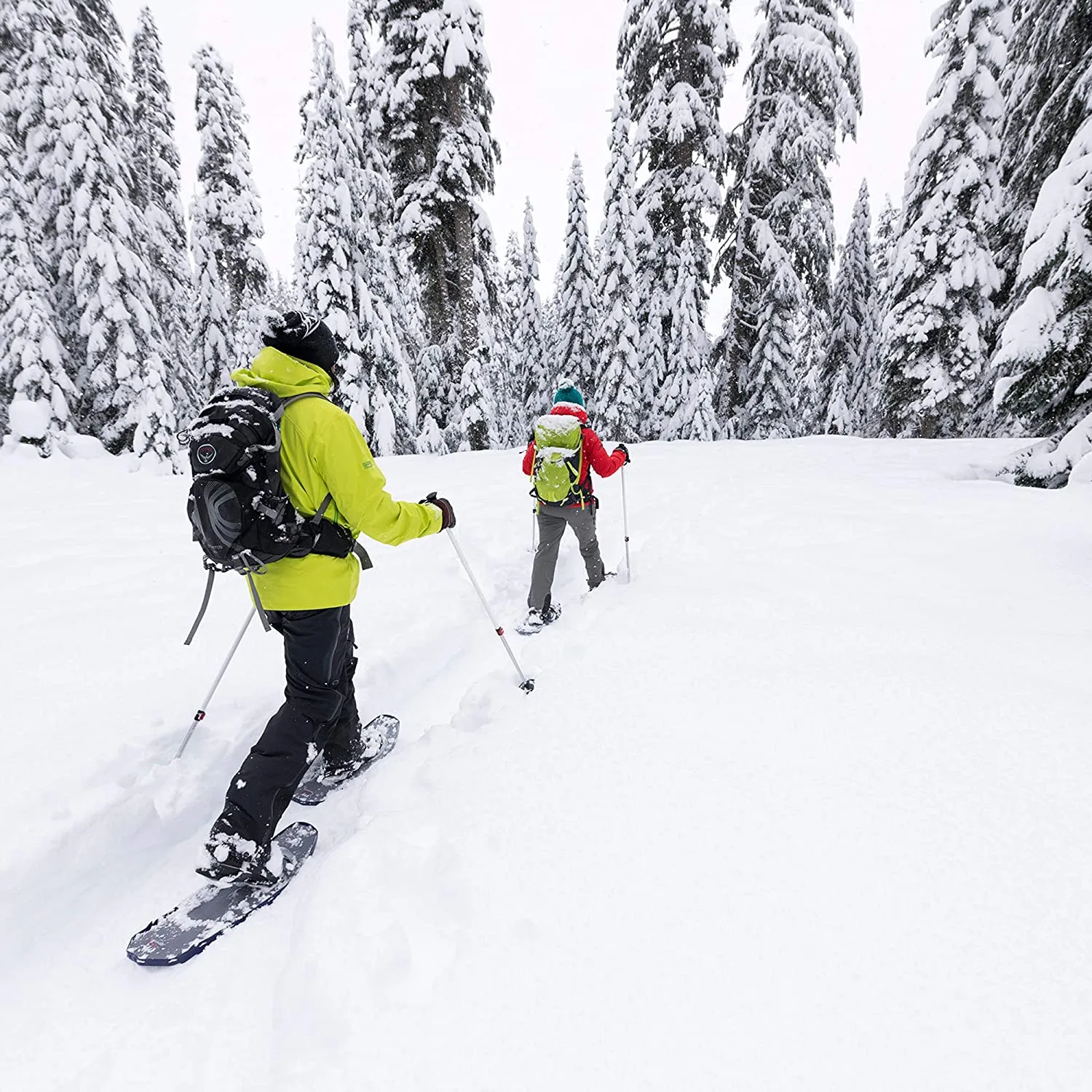 MSR POLES DYNALOCK TRAIL AL 2SEC