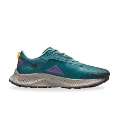 Nike Pegasus Trail 3