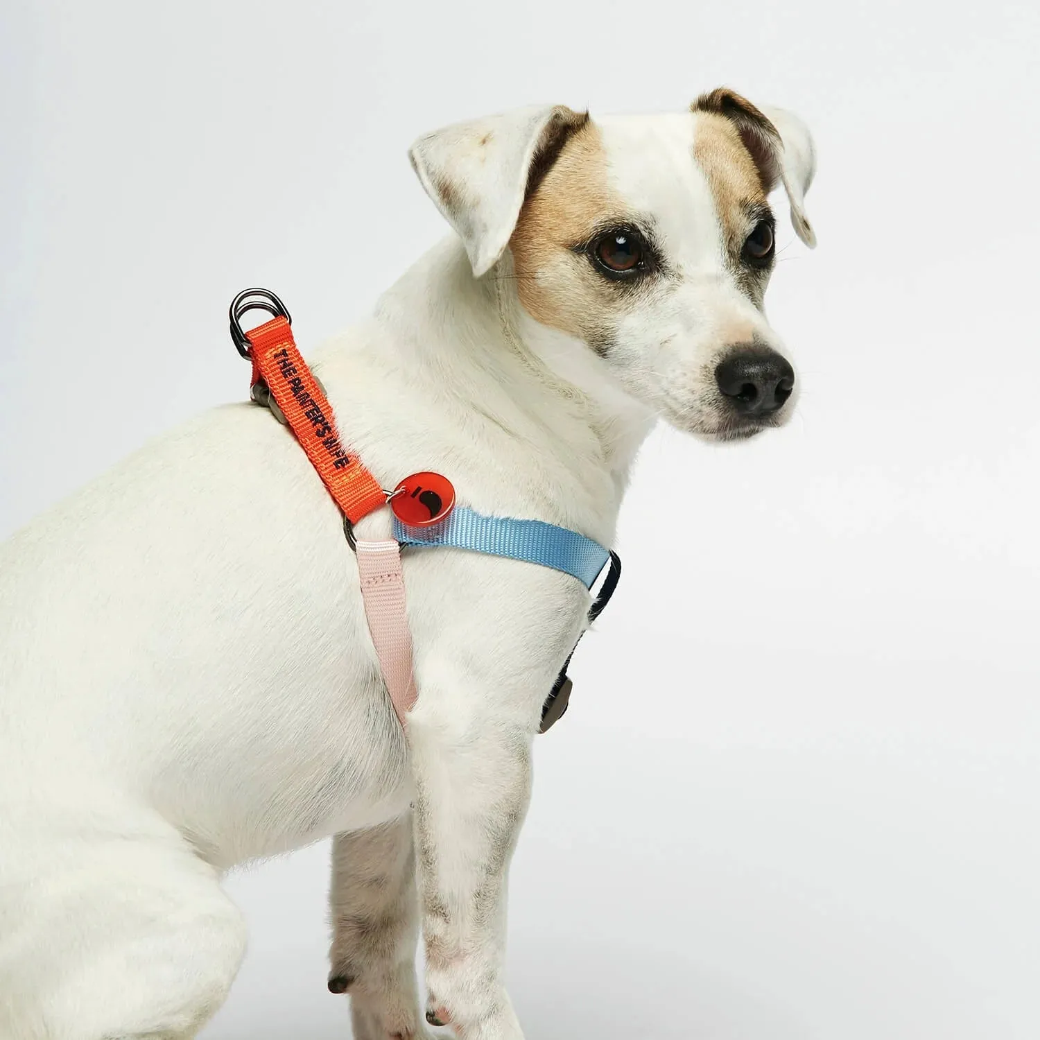 Sonia Orange & Blue Dog Harness
