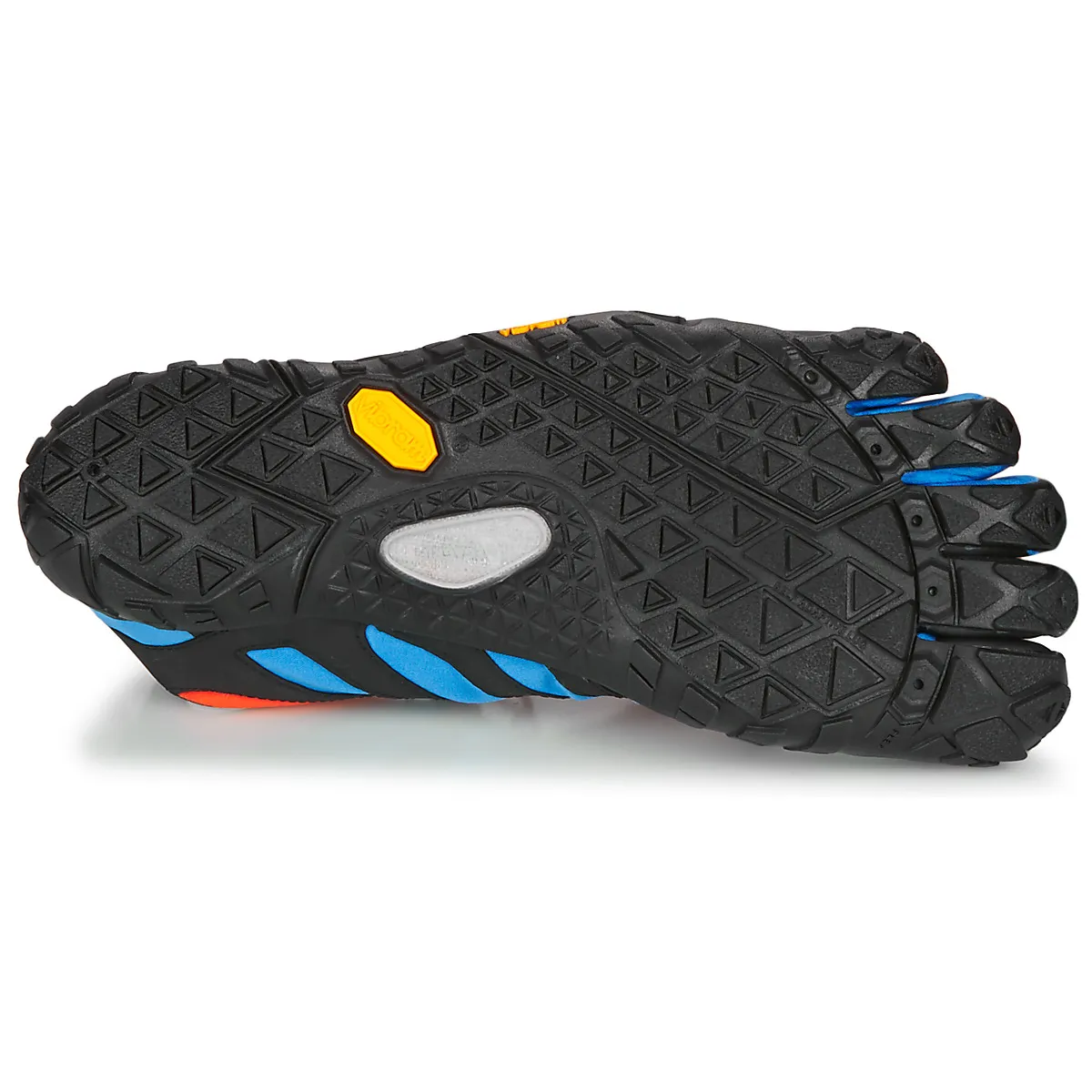 VTRAIL 2.0